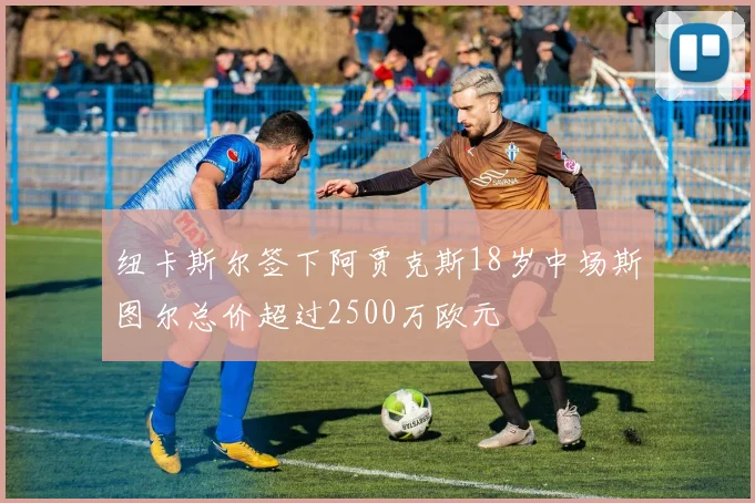 纽卡斯尔签下阿贾克斯18岁中场斯图尔总价超过2500万欧元